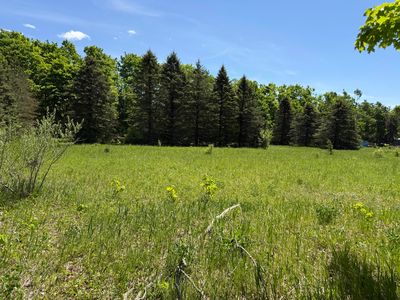 621 Franckowiak Rd, Elmira, MI, 49730