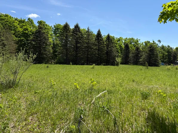 621 Franckowiak Rd, Elmira, MI 49730