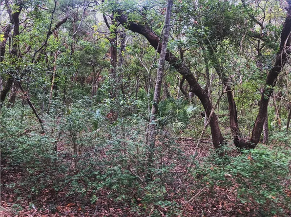 8 Musket Court, Bald Head Island, NC 28461