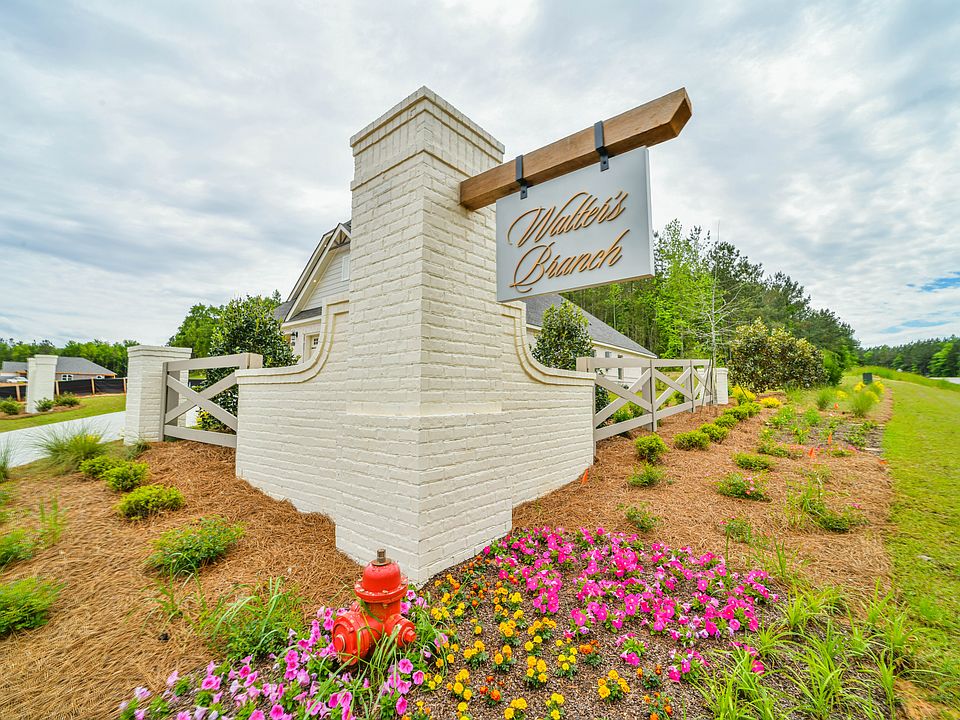 Walter s Branch Community Photography