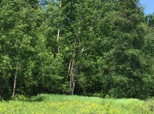 2647 W M 48, Pickford, MI 49774