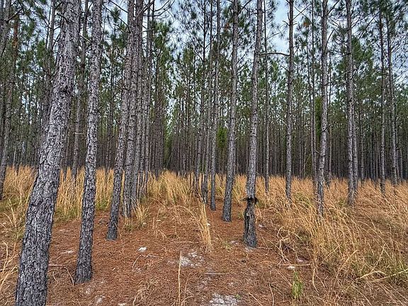 3rd image of SE Pearl Fletcher Rd