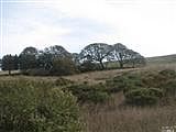 2nd image of 10203 Barnett Valley Rd