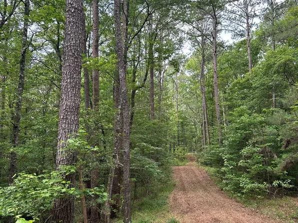 0 Forest Rd #170, Crosby, MS 39633