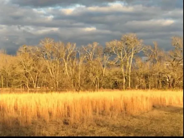 230 Pineywoods Rd, Macon, MS 39341