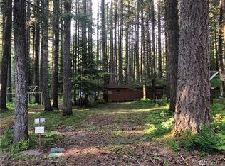 250 Mountain View Dr, White Pass, WA 98361