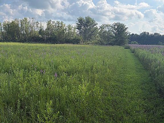 2nd image of 6316 Taylor Pike
