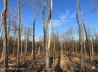 3347 Falstaff Dr, Tobyhanna, PA 18466