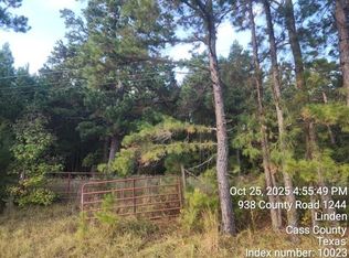 938 County Road 1244, Linden, TX 75563