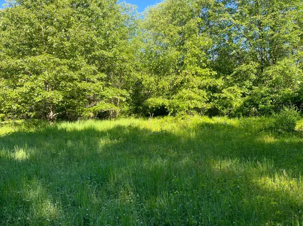 8325 Houston Rd, Eaton Rapids, MI 48827