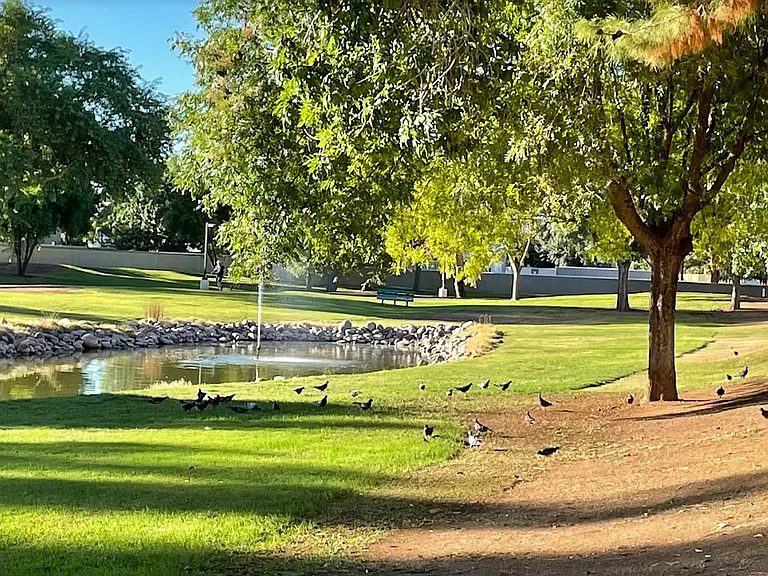Gila Springs large community park only three minute walk away.