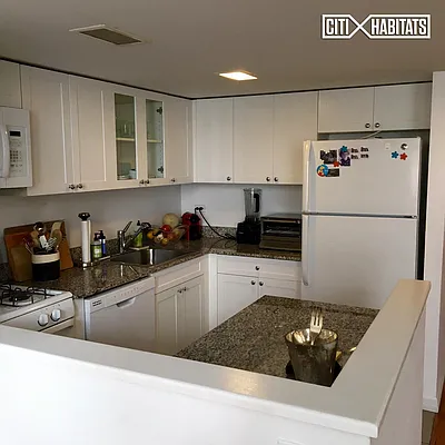 Rented by Citi Habitats | media 15