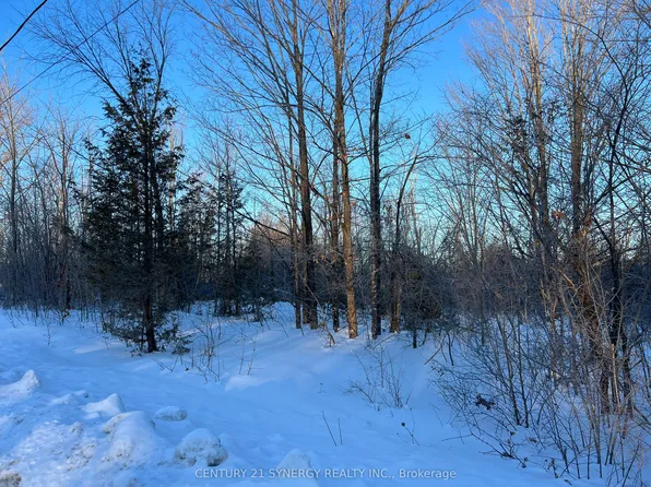 0 McLachlin Rd, Beckwith, ON K7A 4S7