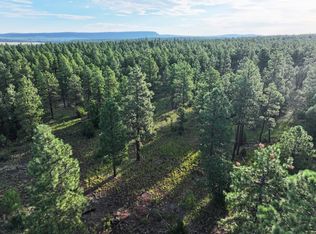 0 Forest Rd LOT 157-21, Bluewater, NM 87005