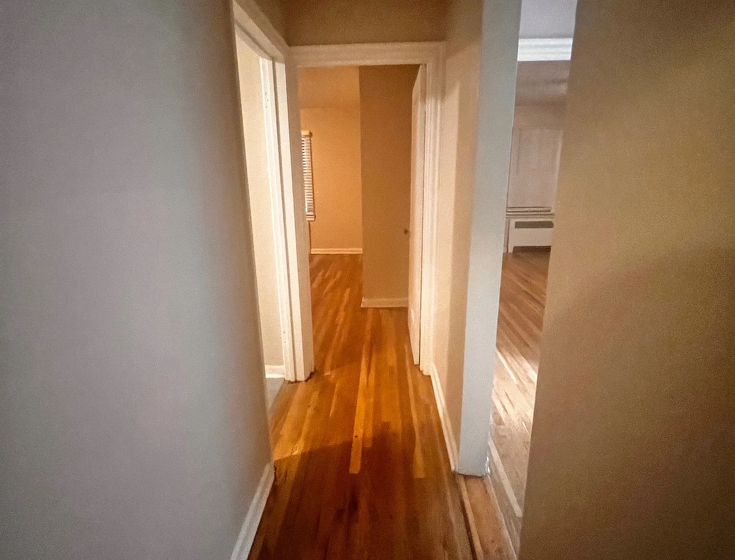 213 Locust Street - 1 — Photo 3