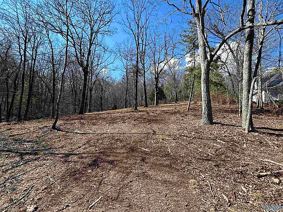 5th image of LOT 149 Lookout Mountain Dr