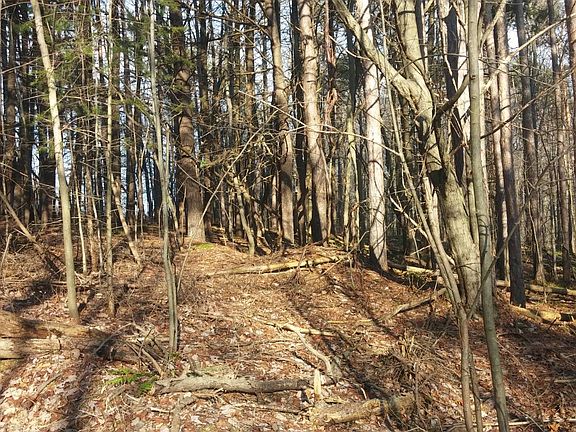 5th image of 1 Sherry Hollow Rd