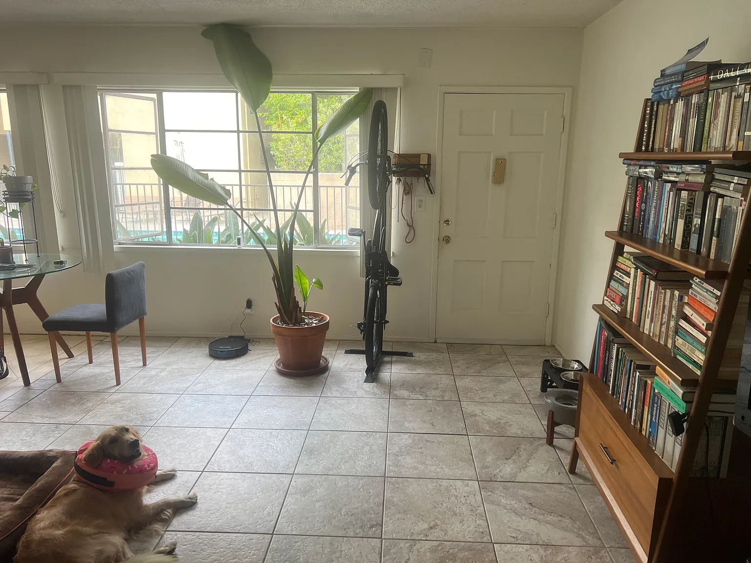 1 bed, 700 sqft, $2,350 — Photo 4