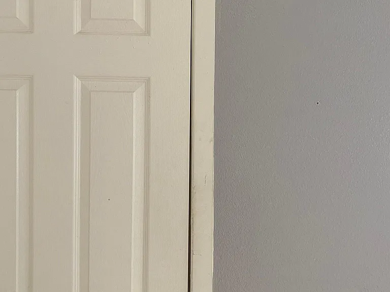Walking Closet Door