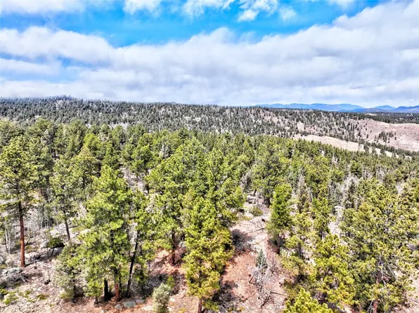 0 Park Ridge Drive, Guffey, CO 80820