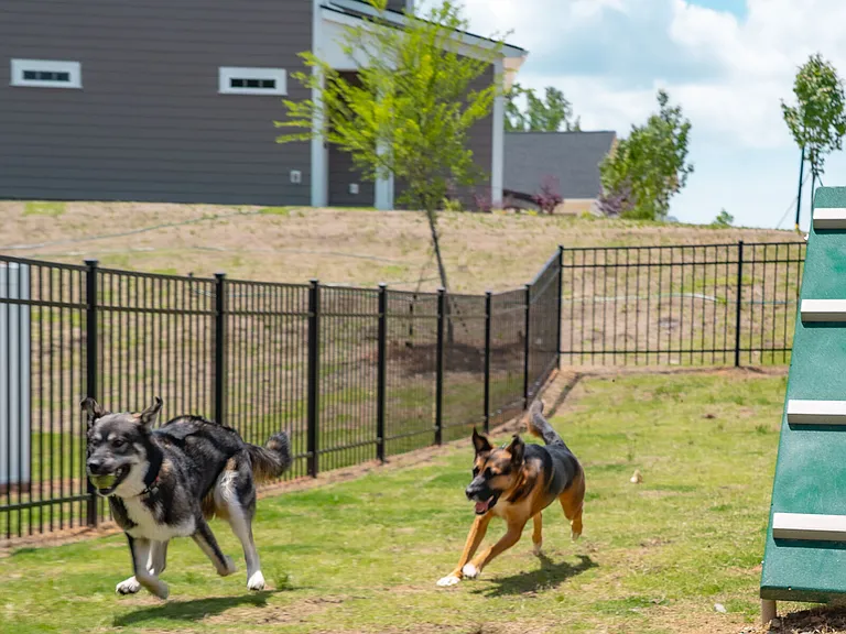 Oak Lake Townhomes — Photo 33