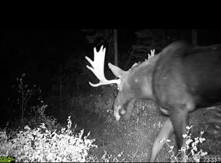 1733 Old Cc Rd, Addy, WA 99101