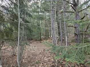 1 Cedar River Rd, Mancelona, MI