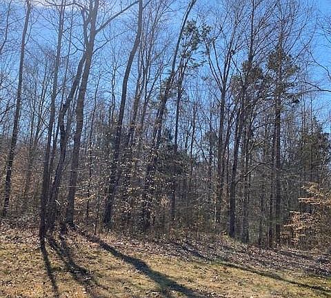 2nd image of 0 Dalton Rd