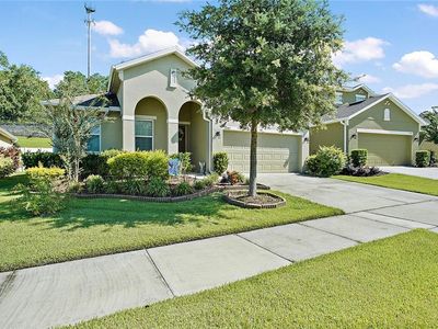 2287 Natoma Blvd, Mount Dora, FL, 32757