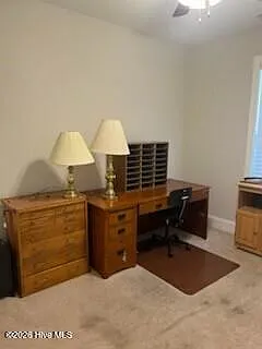 3702 Cinnamon Fern Dr — Photo 8