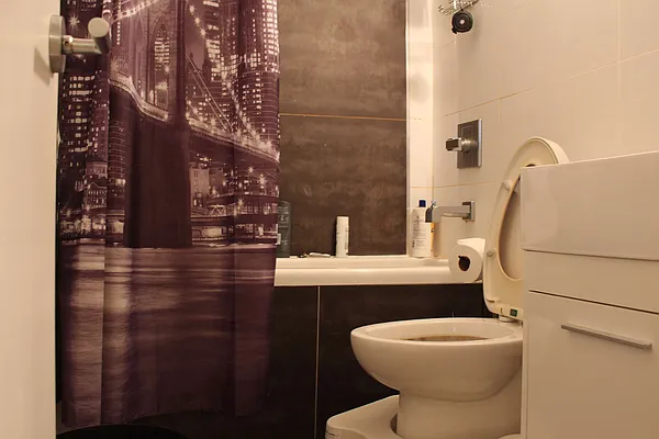 Rented by Simply Brooklyn Realty Inc | media 31