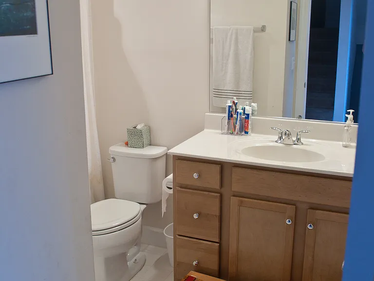 Hallway bathroom