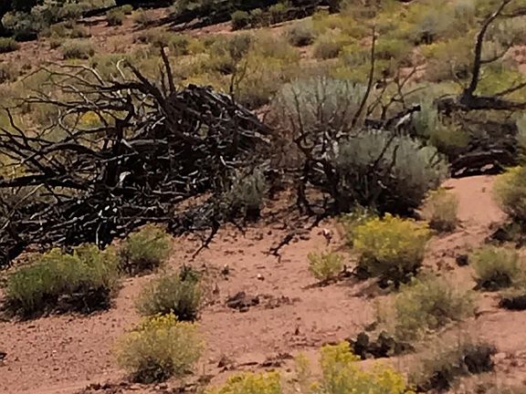 5th image of 45 County Road 9005 N