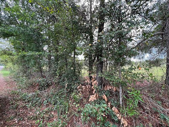 4th image of County Road 4127