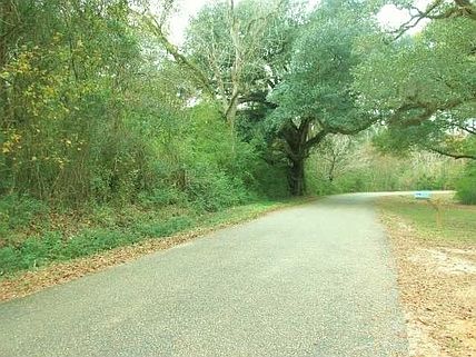 2nd image of 81241 Jim Loyd Rd