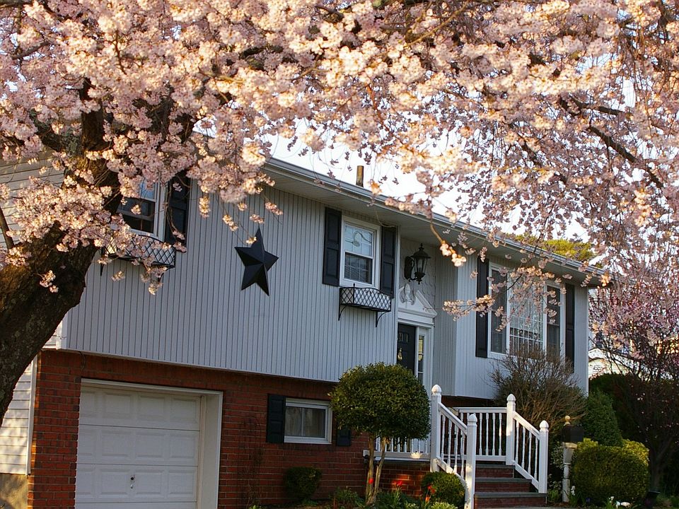 large flowering cherry tree and Belgian block retaining wall surrounding yard