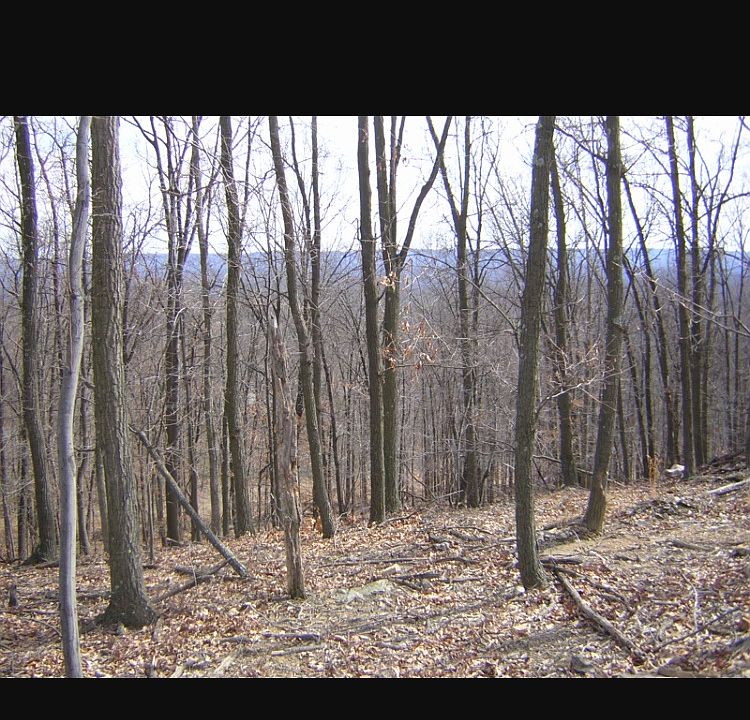 1st image of 30 E Valley Dr