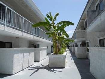 2nd image of 7636 Fulton Ave APT 120
