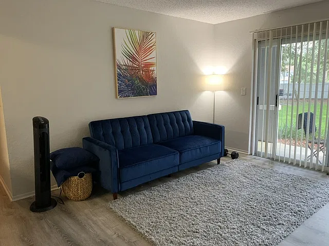Living room, brand new couch, clean floors, outside patio