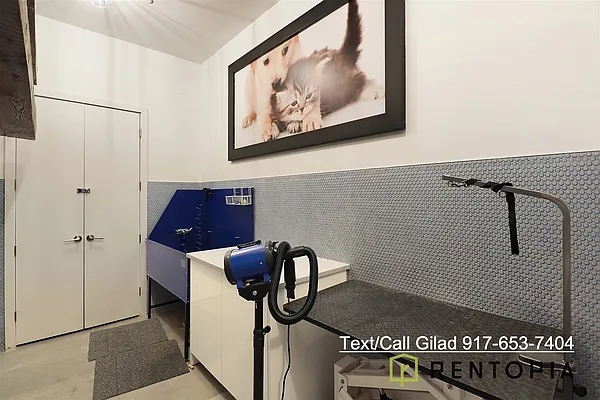 Rented by Rentopia | media 31