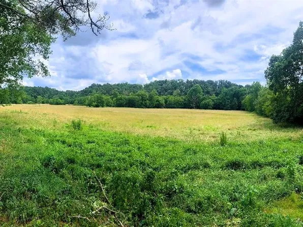 Guess Rd NE, Ranger, GA 30734