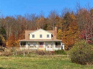 811 Pazzelli Rd, Windsor, NY 13865