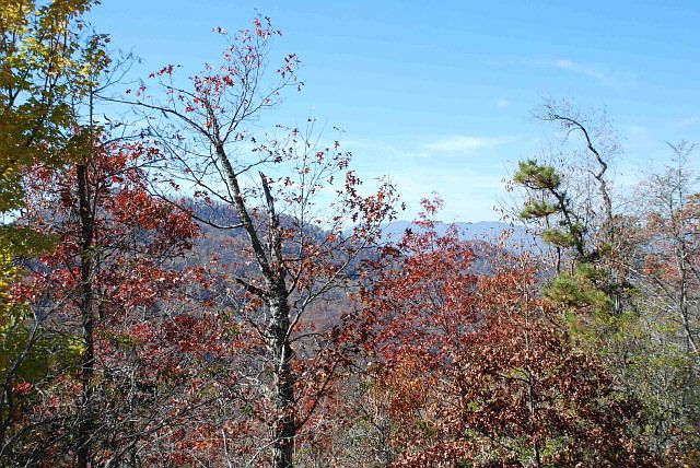 1st image of 4 Wildflower Dr