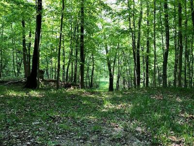 North Dr #19, Plainwell, MI, 49080
