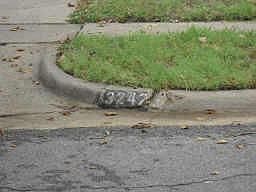2nd image of 3242 Seevers Ave