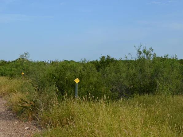 91 Los Centenarios Rd, Laredo, TX 78043