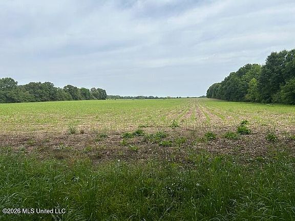 2nd image of Old Jackson Rd