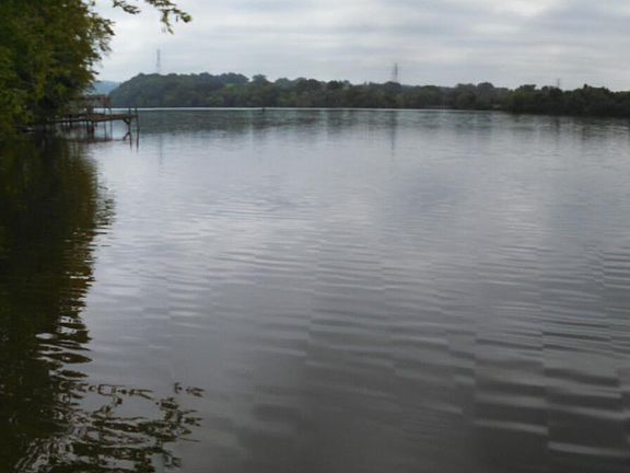 5th image of Lakeshore Dr