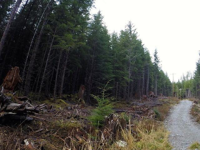 1st image of Nhn Valley Rd And Blueberry Drive