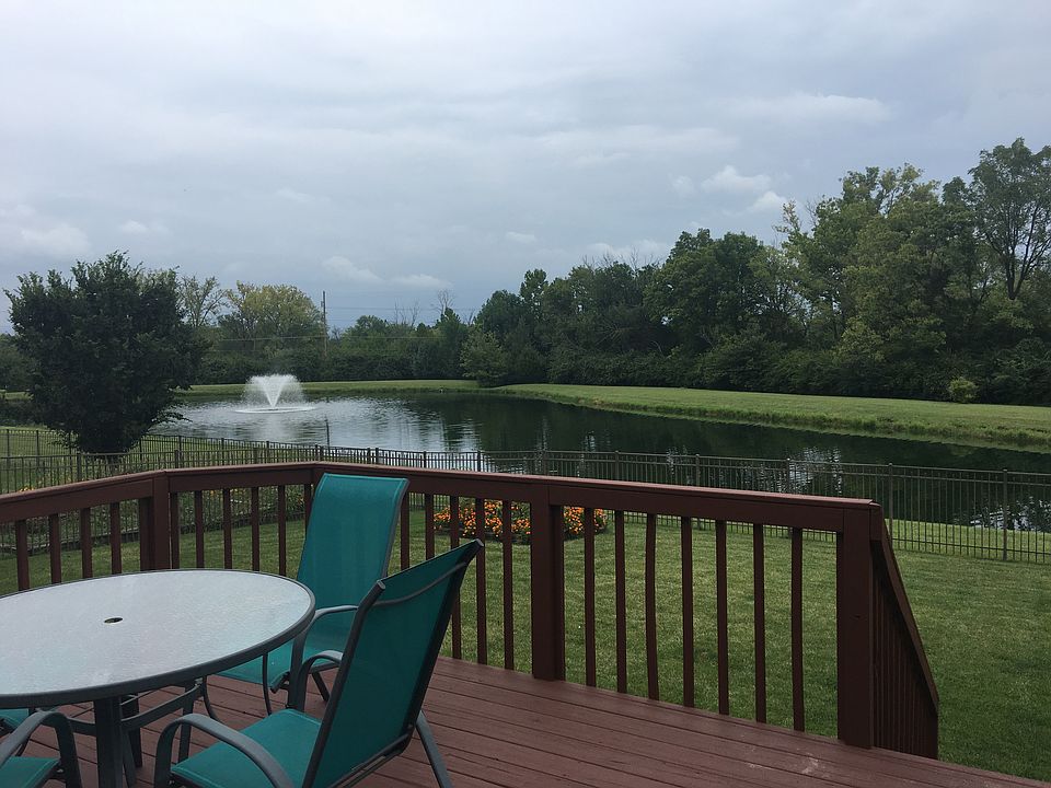 Back Porch View